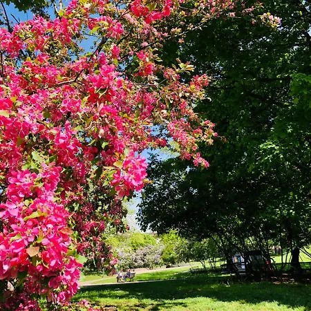 Appartement Sweethome 48 Center аlbertinkatu Helsinki